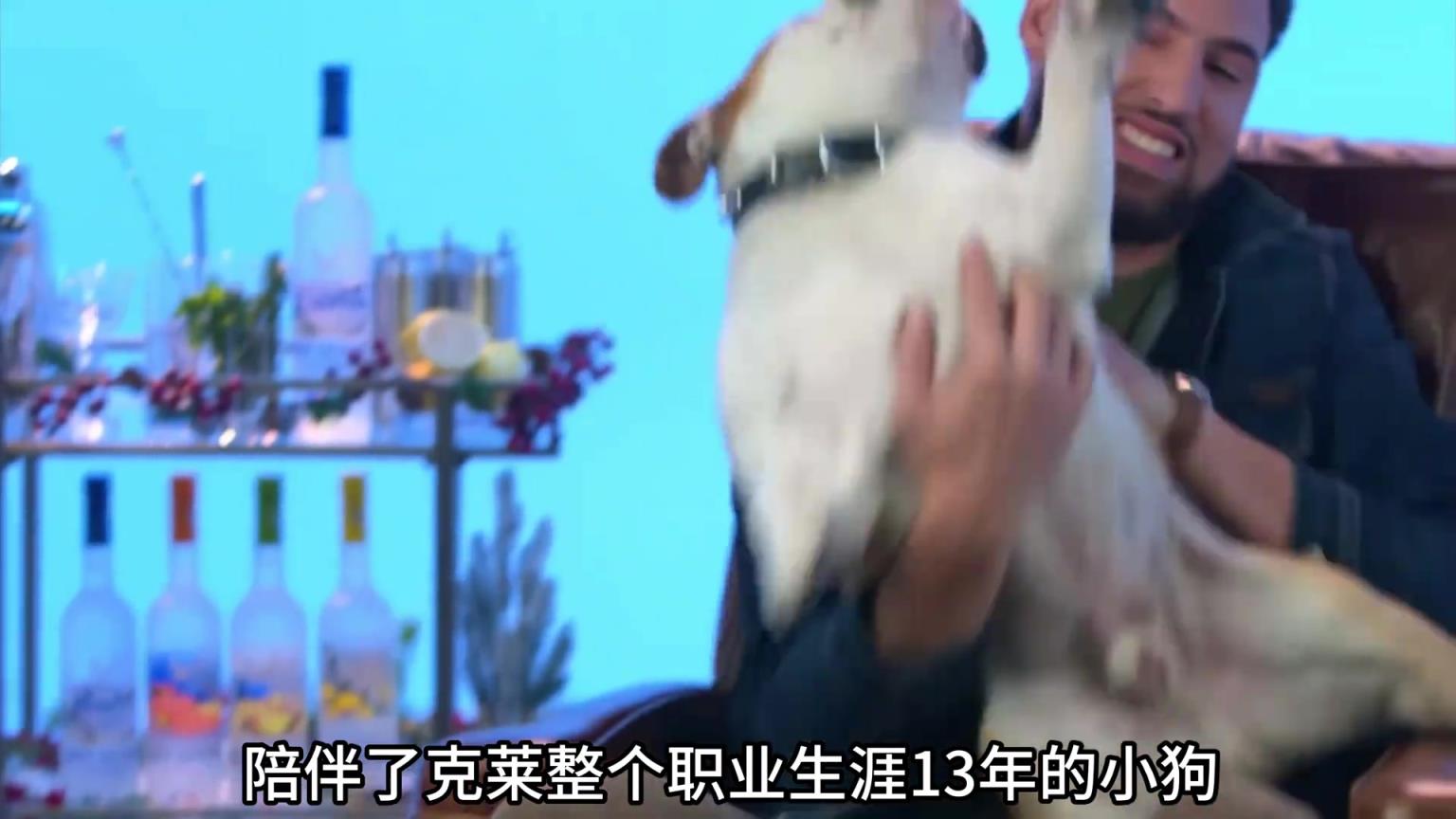 陪伴克萊13年的小狗去世了，不敢相信克萊得多么傷心